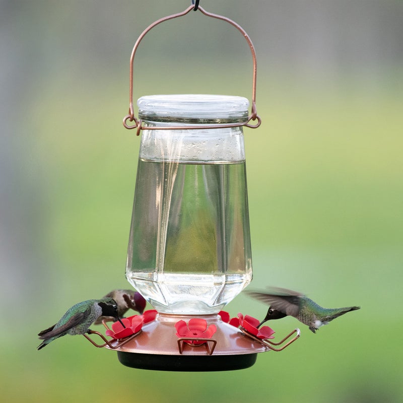 Perky-Pet Crystal Bronze Top-Fill Glass Hummingbird Feeder â€“ 28 oz Nectar Capacity, 9109-1SR - Image 2